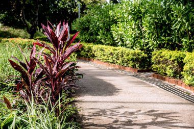 Parktaki geçitte yansıyan mor çalılar.