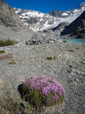 Wedgemount lake in Garibaldi park in the summer clipart