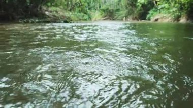 Tranquil tropical natural landscape scenic view, flowing water stream in the evergreen rainforest park, freshwater river with trees foliage, beautiful outdoor environment, Asia adventure tourism.