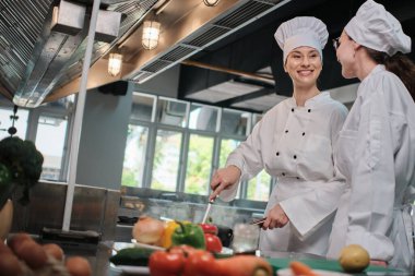 Önlüklü iki beyaz kadın aşçı birlikte yemek pişiriyor. Lezzetli yemeklerde profesyonel gurme partnerler, otel yemeklerinde malzeme hazırlığı ve aşçılık yemekleri..