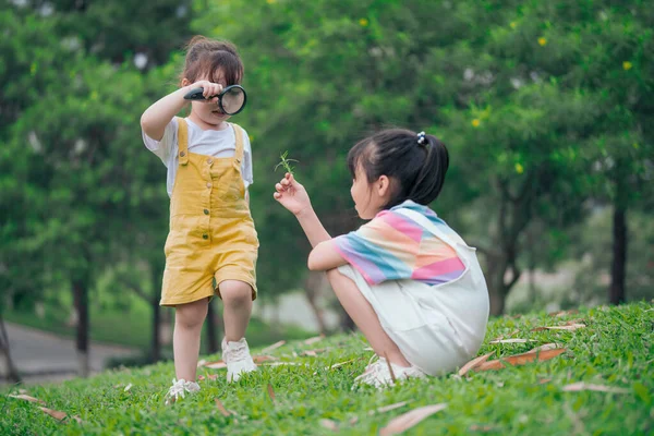 Foto Von Jungen Asiatischen Baby Mädchen Spielen Park — Stockfoto