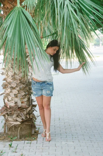 Портрет Молодої Брюнетки Біля Пальмового Дерева Дівчина Зовні Тропічному Курортному — стокове фото