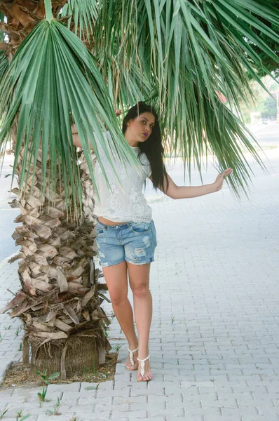 Portret Van Een Jonge Brunette Bij Een Palmboom Meisje Buiten — Stockfoto