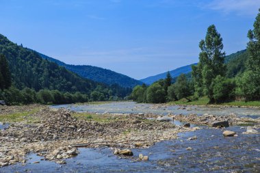 Kayalık kıyıları olan bir nehir yatağı. Güneşli bir günde kırsal bir dağ bölgesinde nehir, ağaçlarla kaplı dağ yamaçları. Merkezde keskinlik 