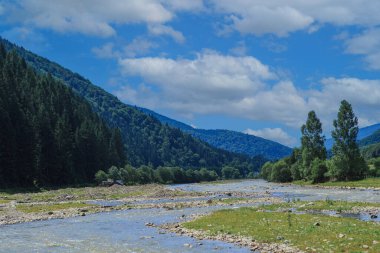 Kayalık kıyıları olan bir nehir yatağı. Güneşli bir günde kırsal bir dağ bölgesinde nehir, ağaçlarla kaplı dağ yamaçları. Merkezde keskinlik 