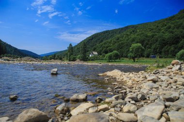 Kayalık kıyıları olan bir nehir yatağı. Güneşli bir günde kırsal bir dağ bölgesinde nehir, ağaçlarla kaplı dağ yamaçları. Merkezde keskinlik 