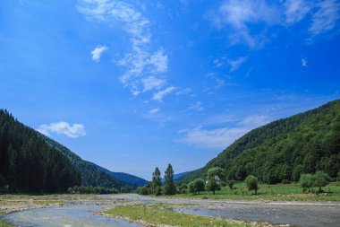 Kayalık kıyıları olan bir nehir yatağı. Güneşli bir günde kırsal bir dağ bölgesinde nehir, ağaçlarla kaplı dağ yamaçları. Merkezde keskinlik 