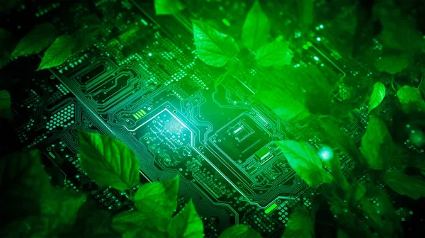 電気の緑のエネルギー 植物はコンピュータボードの上で ストック写真