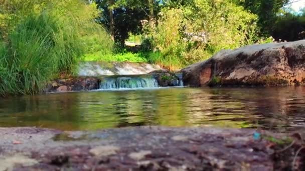 Bosque Río Una Cascada Sonido Del Agua Corriente — Vídeos de Stock