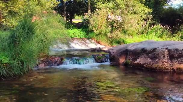 Річкова Вода Протікає Вздовж Водоспаду — стокове відео