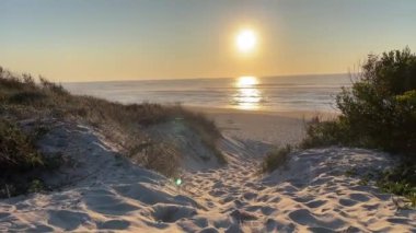 Portekiz 'deki Vila Praia de Ancora plajı, Atlantik Okyanusuna bakıyor, çalılarla, alacakaranlıkta, alacakaranlıkta