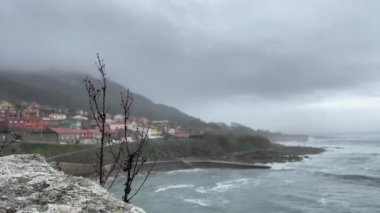 İki kuru çalı denizin önündeki bulutlu ve yağmurlu bir günde rüzgarla hareket etti.