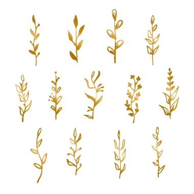 Botanik el çizimi dekoratif çizim: vektör