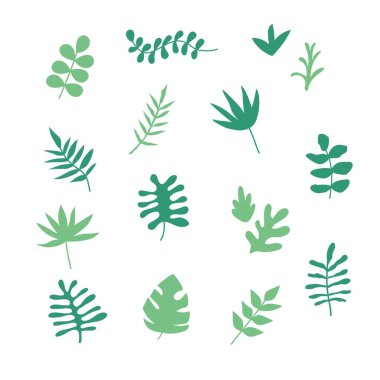 leaf illustration set : vector clipart