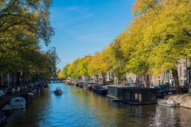 Amsterdam 'da sonbahar ve şehir kanalları 