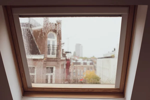 雨滴和窗上的一片叶子 — 图库照片