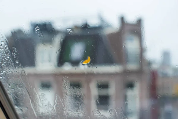 Краплі Дощу Лист Вікні — стокове фото
