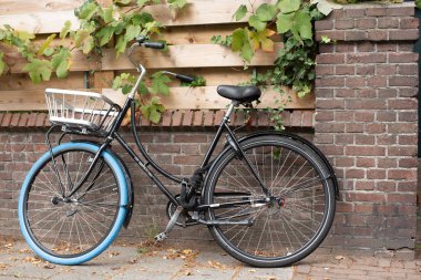 Amsterdam caddesinde bisiklet.