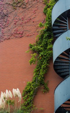 modern bir binada döner merdiven