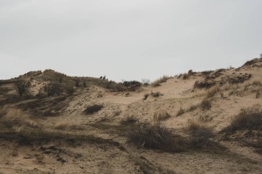 Kuzey Denizi kıyısındaki kum tepeleri