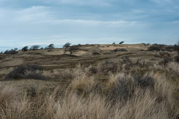 北海沿岸の砂丘では — ストック写真