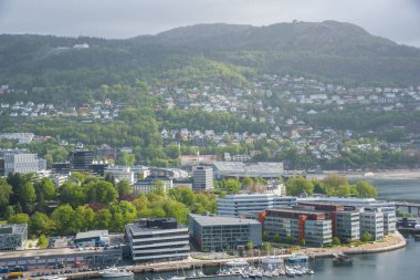 Norveç 'in bakış açısı   