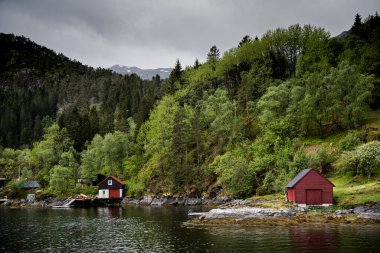 Bergen fiyortlarındaki evler