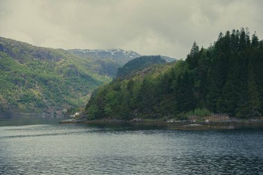 Norveç 'teki fiyort manzaraları