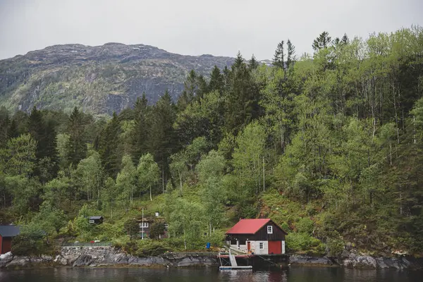 Bergen fiyortlarındaki evler