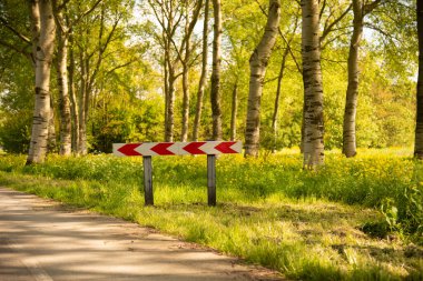 Orman yolunda yol tabelası