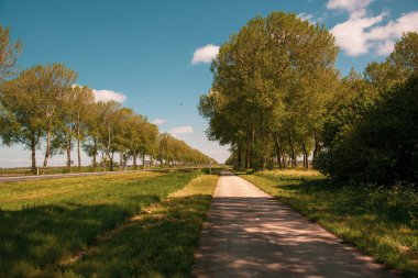 Yaz parkında bisiklet yolu