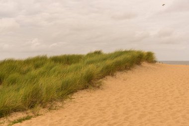 Kuzey Denizi kıyısındaki kum tepeleri