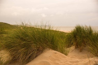 Kuzey Denizi kıyısındaki kum tepeleri