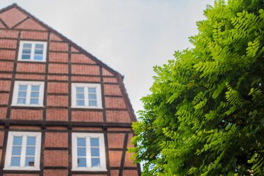 Hamburg 'da yarı keresteli ev ve yakınındaki yeşil ağaç.