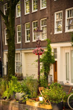 Çiçekli ve tarihi binalı Amsterdam sokak lambası