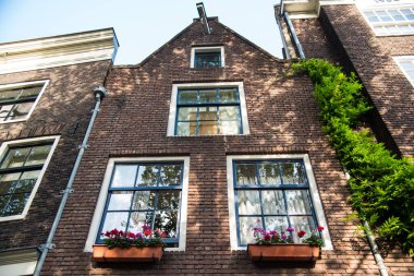 Gökyüzü ve ağaçlarla Amsterdam binasının yukarıdan görünüşü