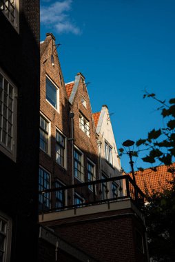 Gökyüzü ve ağaçlarla Amsterdam binasının yukarıdan görünüşü