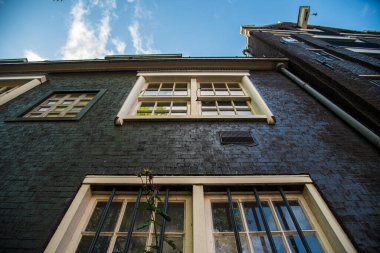 Gökyüzü ve ağaçlarla Amsterdam binasının yukarıdan görünüşü