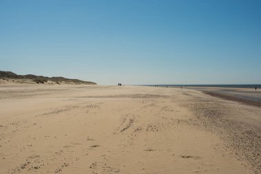 Mavi deniz manzaralı otlak kumullar