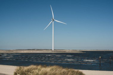 Deltawerk yakınlarında deniz kenarında rüzgar türbini.