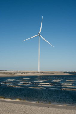Deltawerk yakınlarında deniz kenarında rüzgar türbini.