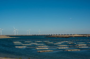 Deltawerk yakınlarında deniz kenarında rüzgar türbini.