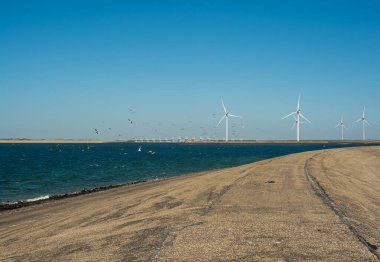Deltawerk yakınlarında deniz kenarında rüzgar türbini.