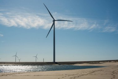 Deltawerk yakınlarında deniz kenarında rüzgar türbini.