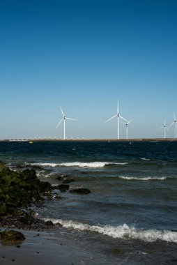 Deltawerk yakınlarında deniz kenarında rüzgar türbini.