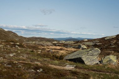 Karlı Dağlarla Jotunheimen Manzarası