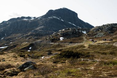 Karlı Dağlarla Jotunheimen Manzarası