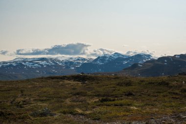 Karlı Dağlarla Jotunheimen Manzarası