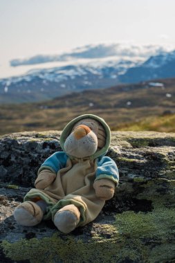 Oyuncak Kaplan Dağlarda