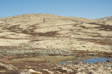 Norveç 'in Arktik Tepelerinde Kar yağışıweather forecast